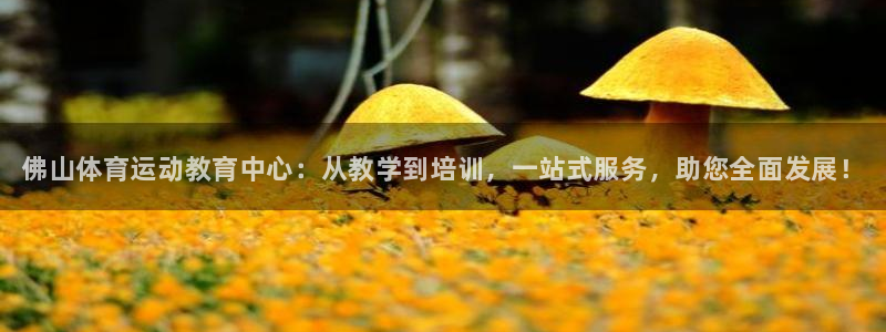 一竞技官方正版app神州：佛山体育运动教育中心：从教