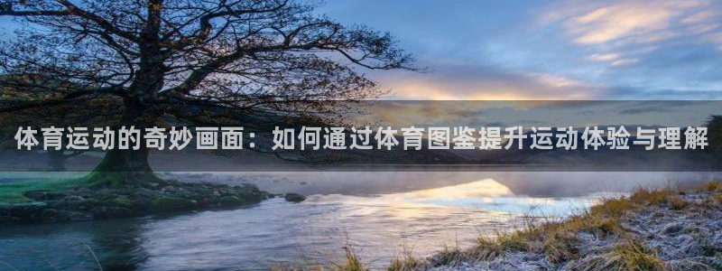 一竞技官网下载联系电话：体育运动的奇妙画面：如何通过