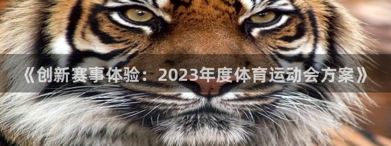 一竞技官方集团官网：《创新赛事体验：2023年度体育
