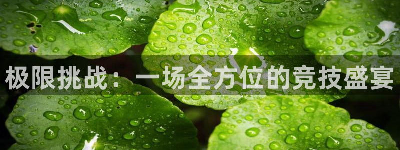 一竞技官网下载平台注册要钱吗安全吗：极限挑战：一场全