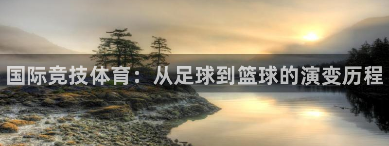 一竞技官方正版app娱乐平台：国际竞技体育：从足球到篮球的演