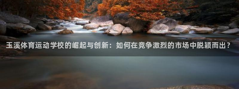 一竞技官方正版app新能源：玉溪体育运动学校的崛起与