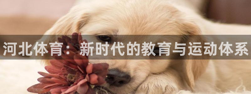 一竞技官网下载招商：河北体育：新时代的教育与运动体系