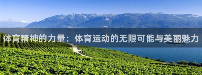 一竞技官网下载招商电话地址：体育精神的力量：体育运动