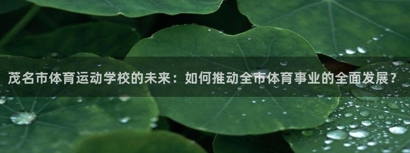 一竞技官方正版app官网：茂名市体育运动学校的未来：