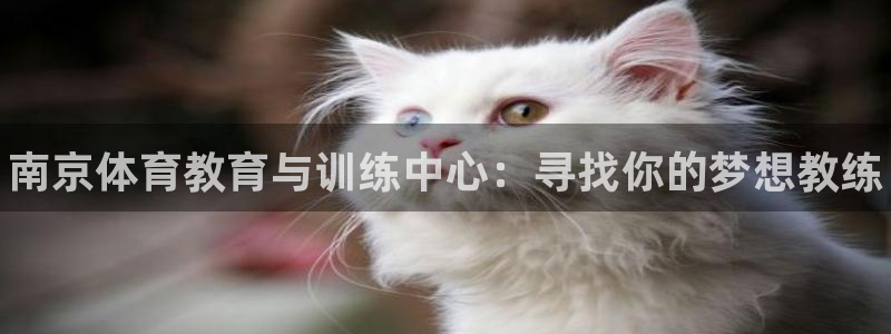 一竞技官方正版app神州：南京体育教育与训练中心：寻