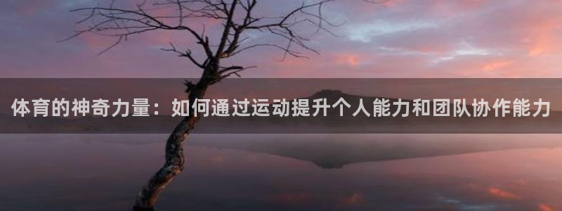 一竞技官方平台体育：体育的神奇力量：如何通过运动提升个人能力
