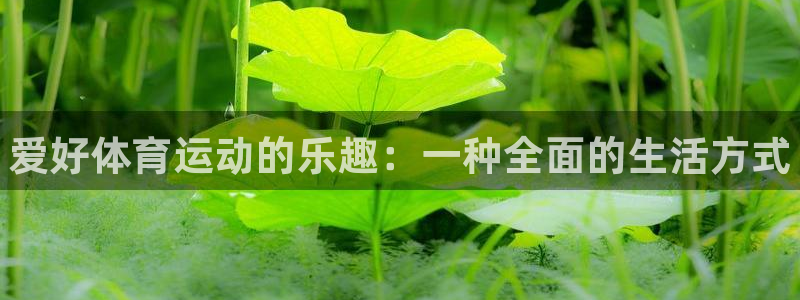 一竞技官方正版app集团简介：爱好体育运动的乐趣：一