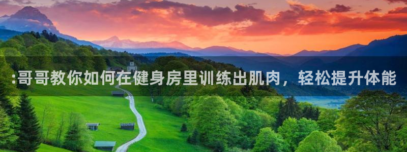 德国一竞技官方正版app集团：:哥哥教你如何在健身房里训练出