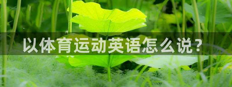 一竞技官方正版app娱乐下载：以体育运动英语怎么说？