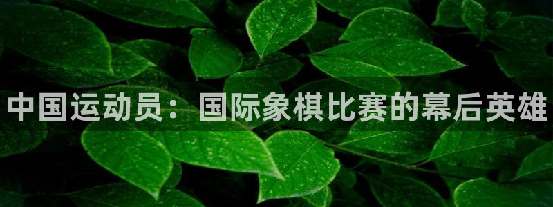 一竞技官网下载是干嘛的公司：中国运动员：国际象棋比赛的幕后英