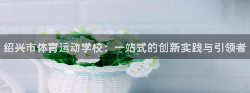 一竞技官网下载是干嘛的公司：绍兴市体育运动学校：一站式的创新