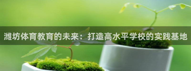 一竞技官方正版app科技