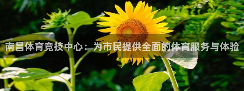 一竞技官网下载：南昌体育竞技中心：为市民提供全面的体育服务与