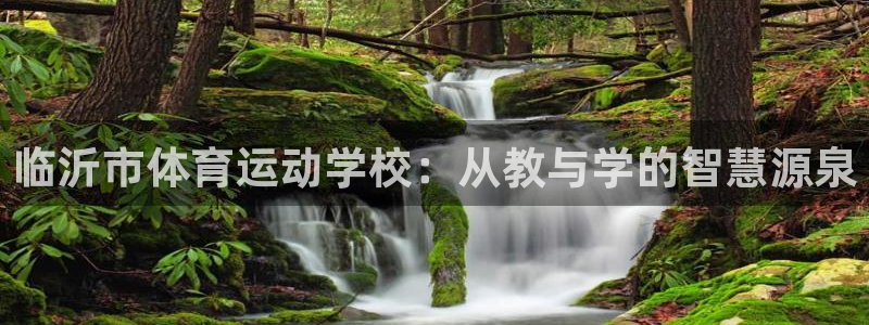 一竞技官方正版app集团logo：临沂市体育运动学校