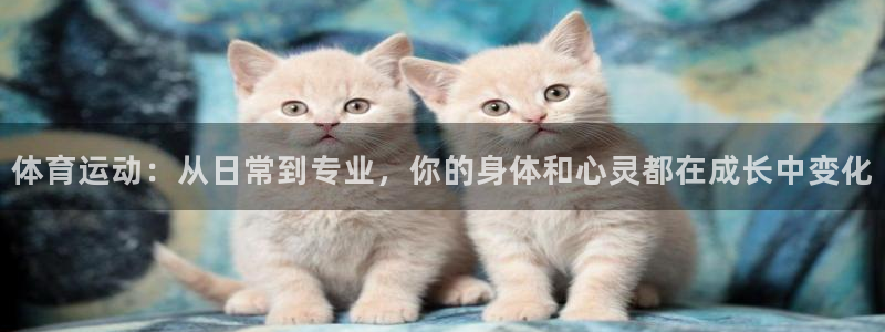 一竞技官网下载招商电话号码查询是多少：体育运动：从日常到专业