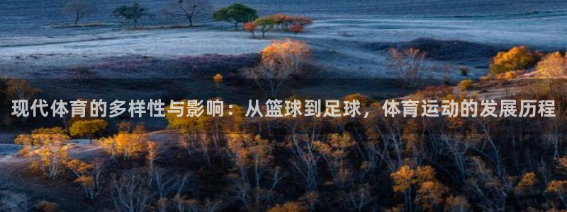 一竞技官网下载招商电话：现代体育的多样性与影响：从篮