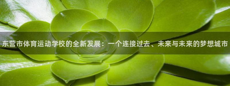 德国一竞技官方正版app集团：东营市体育运动学校的全新发展：