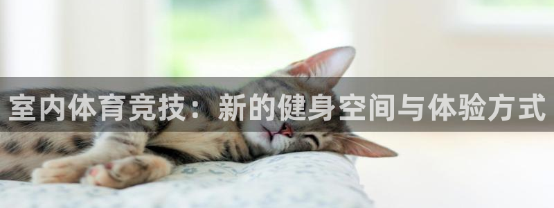 一竞技官网下载平台假的吗是真的吗：室内体育竞技：新的健身空间