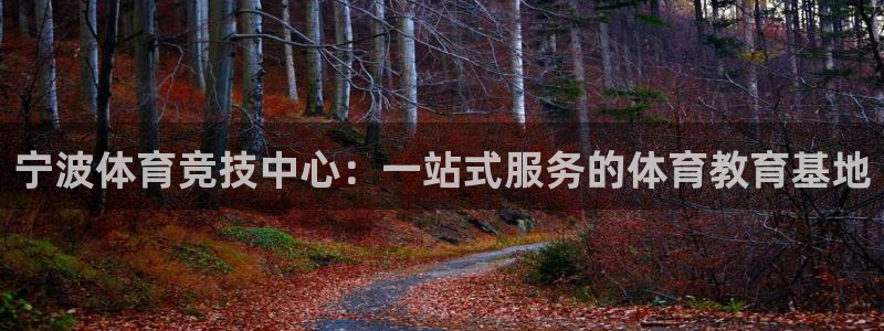 一竞技官方正版app集团：宁波体育竞技中心：一站式服务的体育