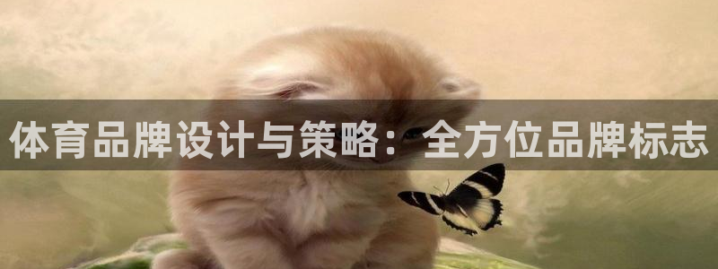 一竞技官方正版app娱乐下载：体育品牌设计与策略：全