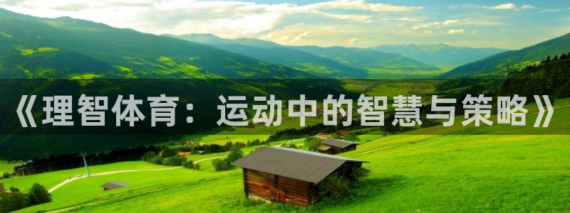 一竞技官网下载：《理智体育：运动中的智慧与策略》