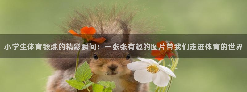 一竞技官方正版app科技：小学生体育锻炼的精彩瞬间：