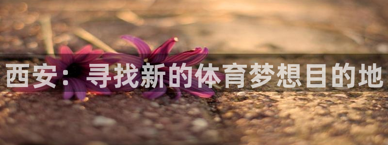 一竞技官网下载平台假的吗是真的吗吗：西安：寻找新的体育梦想目