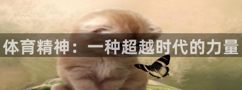 一竞技官网下载平台假的吗是真的吗：体育精神：一种超越时代的力