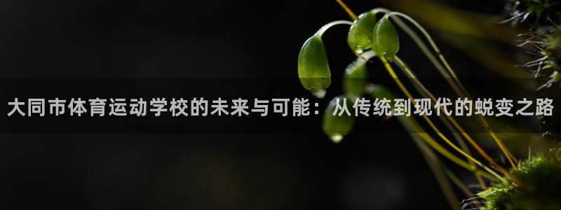 一竞技官网下载平台注册要钱吗：大同市体育运动学校的未来与可能